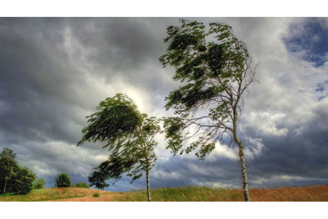 Küləkli hava ilə bağlı XƏBƏRDARLIQ