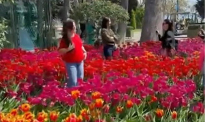 Bulvarda gülləri əzən 10 nəfər polisə çağırıldı - VİDEO