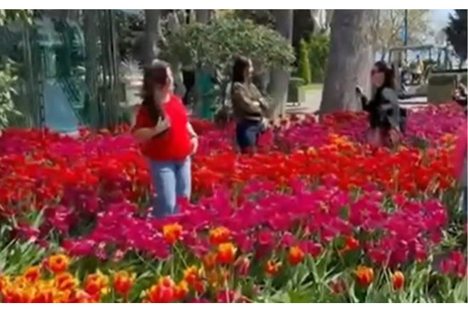 Bulvarda gülləri əzən 10 nəfər polisə çağırıldı - VİDEO