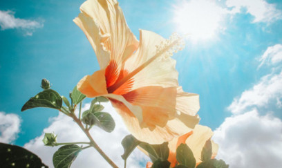 Sabah 21 dərəcə isti olacaq