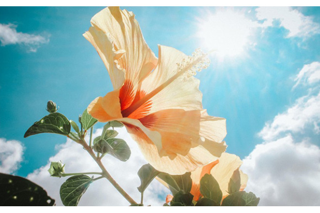 Sabah 21 dərəcə isti olacaq