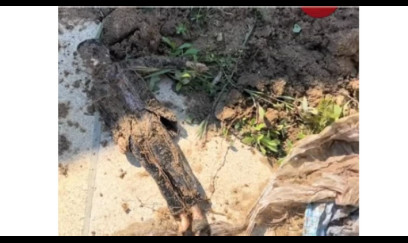 Hovuz qazırdılar, cadu TAPDILAR - VİDEO