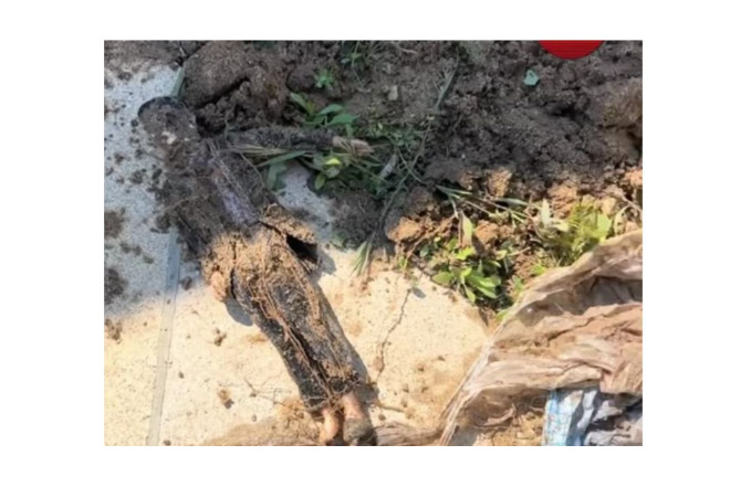 Hovuz qazırdılar, cadu TAPDILAR - VİDEO