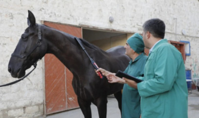 At xəstəlikləri ilə bağlı epizootoloji monitorinqlər keçiriləcək