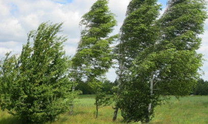 FHN əhaliyə müraciət edib 