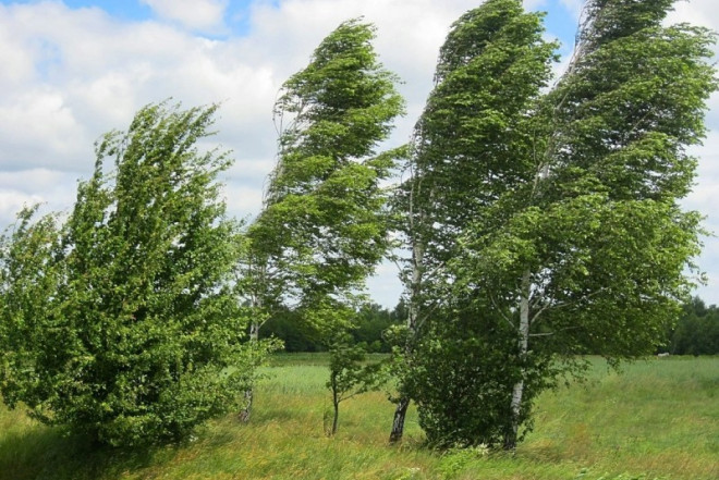 FHN əhaliyə müraciət edib 