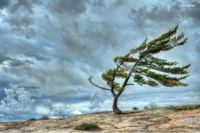 Güclü külək olacaq - XƏBƏRDARLIQ