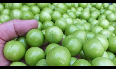 Cəmi beş ədəd alça yeddi manata satılır - VİDEO