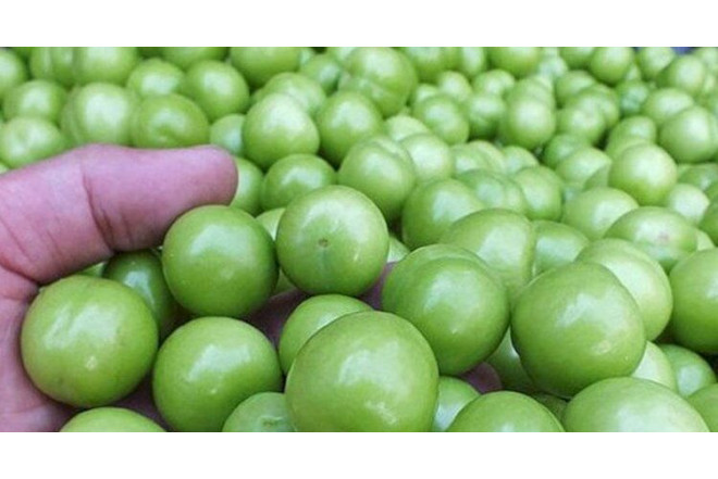 Cəmi beş ədəd alça yeddi manata satılır - VİDEO