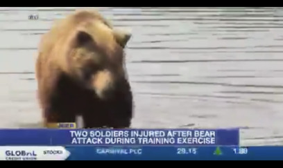 ABŞ ordusunun Alyaskadakı təlimində ayı hücumu: 2 yaralı