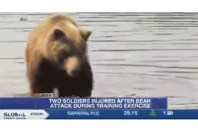ABŞ ordusunun Alyaskadakı təlimində ayı hücumu: 2 yaralı