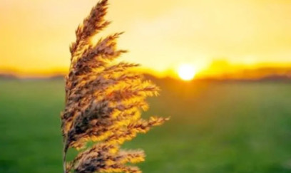 Sabah 22 dərəcə isti olacaq - PROQNOZ 