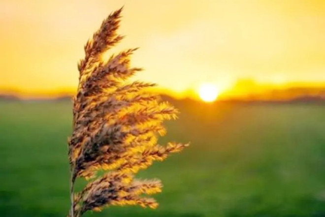 Sabah 22 dərəcə isti olacaq - PROQNOZ 