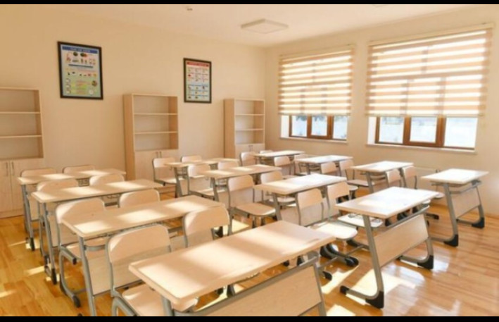 Məktəblərdə KÜTLƏVİ YOXLAMALAR başladı 