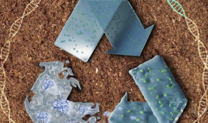 Çinlilər bunu da istehsal etdi 