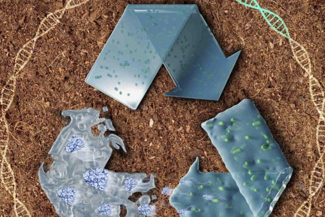 Çinlilər bunu da istehsal etdi 