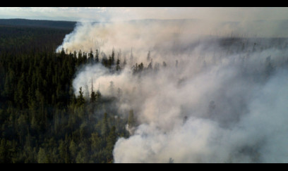 ABŞ-də güclü meşə yanğınları - 54 ev külə döndü 