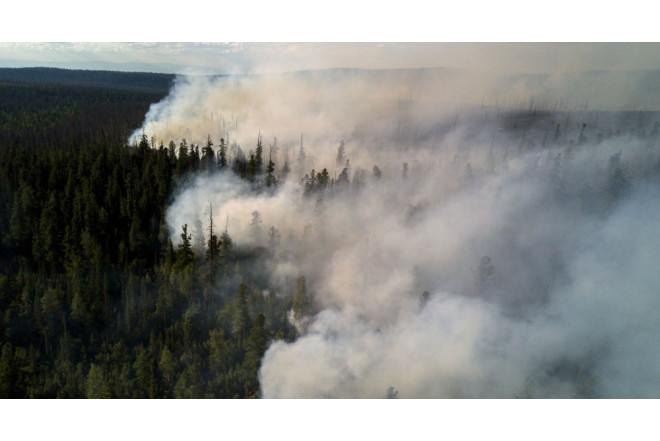 ABŞ-də güclü meşə yanğınları - 54 ev külə döndü 