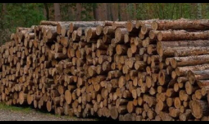 Günün 24 saatı elektrik istehsal edən taxta hazırlandı 