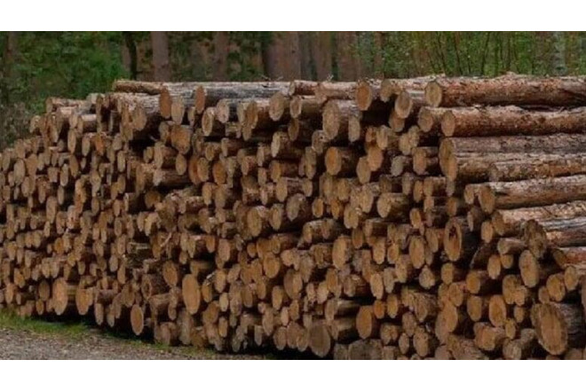 Günün 24 saatı elektrik istehsal edən taxta hazırlandı 