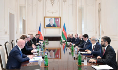 İlham Əliyevin Babişlə geniş tərkibdə görüşü keçirilir - FOTOLAR