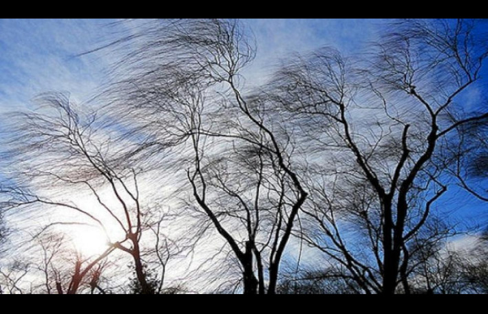 Bakıda küləkli hava nə qədər davam edəcək? - RƏSMİ AÇIQLAMA
