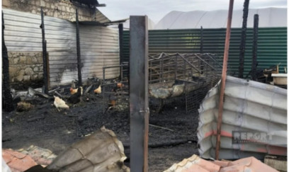 Şəmkirdə 28 qoyun yanaraq tələf olub