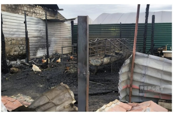 Şəmkirdə 28 qoyun yanaraq tələf olub