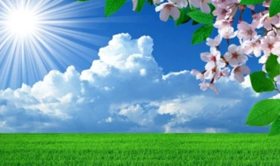 Hava kəskin istiləşir - temperatur yüksələcək