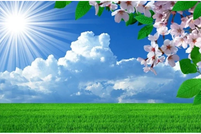 Hava kəskin istiləşir - temperatur yüksələcək
