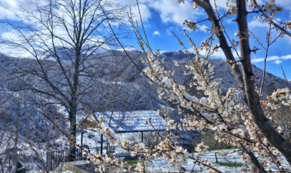Bu ərazilərə qar yağıb 