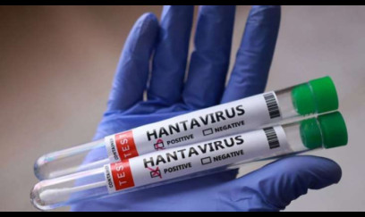 Bu ölkədə yeni virus yayıldı HANTAVİRUS