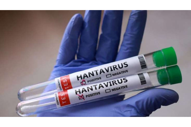 Bu ölkədə yeni virus yayıldı HANTAVİRUS