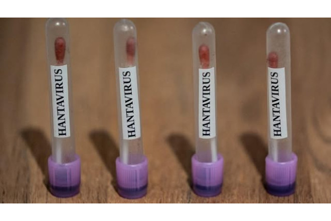 Hantavirus yayılır? - Avropada ciddi xəbərdarlıq