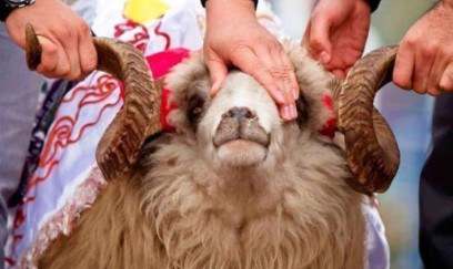 Qurban kəsmək qadağan edildi - Bu ölkələrdə
