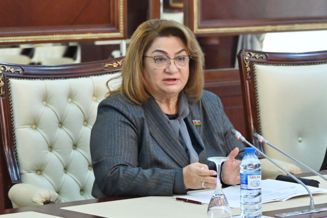 Ana və uşaq ölümü artıb - Deputat rəqəmləri açıqladı