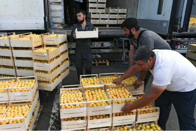 Rusiya Ermənistandan növbəti məhsulların idxalına qadağa qoydu 