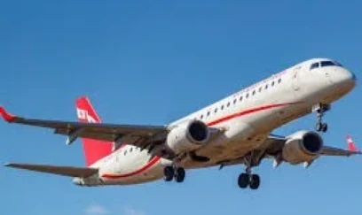 Tbilisidən qalxan təyyarə qəza enişi etdi 