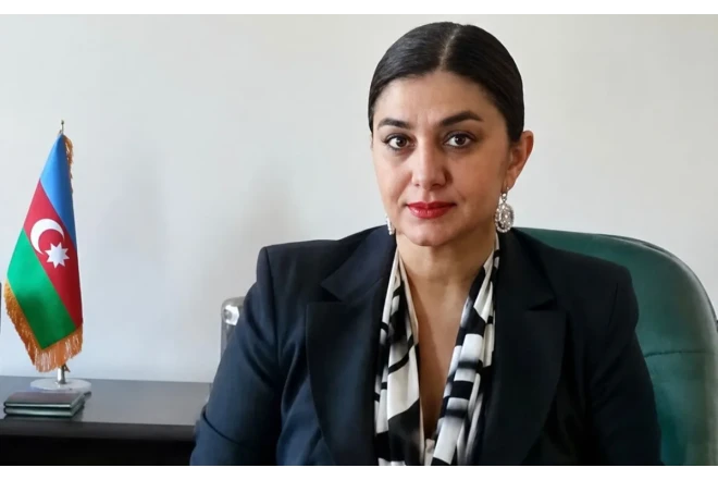 Baş nazirin müavini kommunal ödənişlərini etməyib - Naxçıvanda