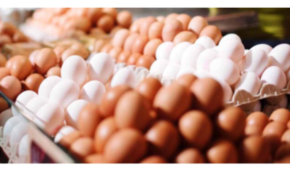 Marketlərdə qiymət şoku: Yumurtanın qiyməti 3-4 qəpiyə ENİB