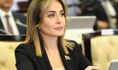 Deputat: “AŞPA-da qərəzli siyasi maraqlar hüquqi prinsipləri üstələyir” 