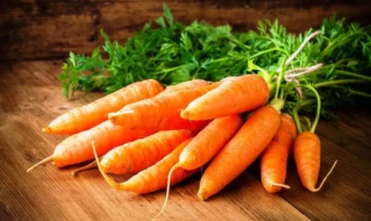Alimlər kökün ömrü uzatdığını sübut etdilər 