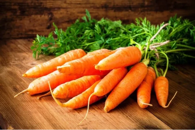 Alimlər kökün ömrü uzatdığını sübut etdilər 