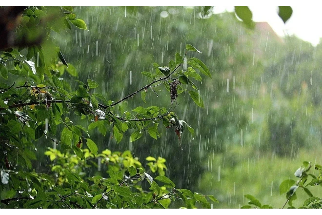 Yağış davam edir - FAKTİKİ HAVA