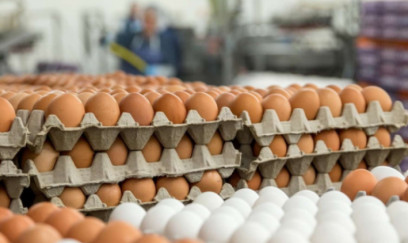 Qiymətlər rekord həddə enə bilər: Yumurta bazarında nə baş verir? 