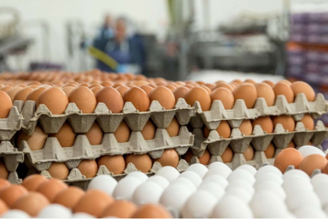 Qiymətlər rekord həddə enə bilər: Yumurta bazarında nə baş verir? 