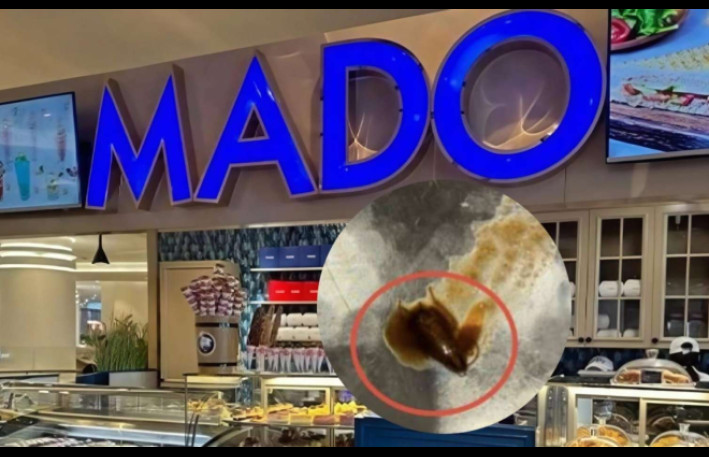 “Mado”da müştəriyə "tarakanlı" şorba verdilər - FOTO