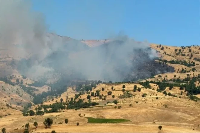 Türkiyədə meşə yanğınları başlayıb 