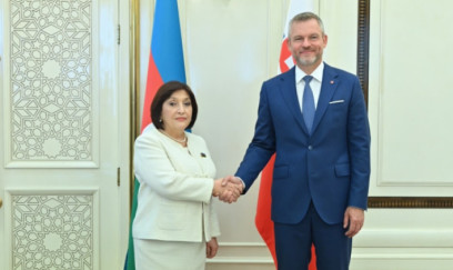 Milli Məclisin sədri Slovakiya Prezidenti ilə görüşüb 