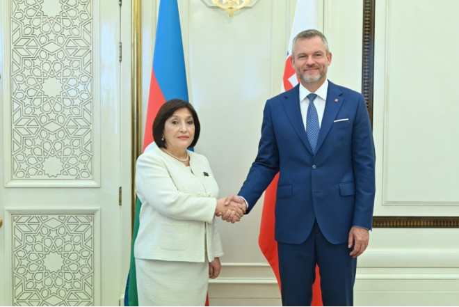 Milli Məclisin sədri Slovakiya Prezidenti ilə görüşüb 
